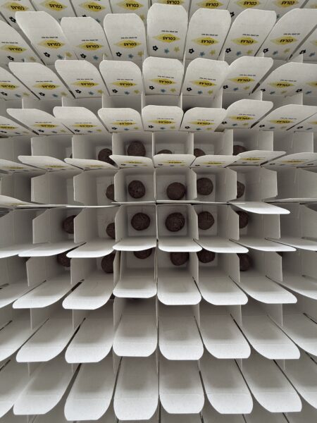 Ekologiczna bomba kwietna z personalizacją logo