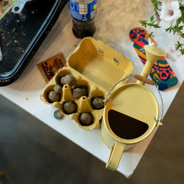 Warsztaty z lepienia bomb kwietnych